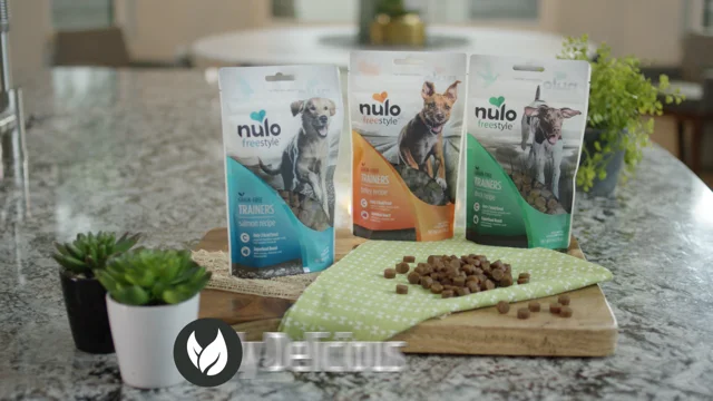 Nulo freestyle trainers hotsell