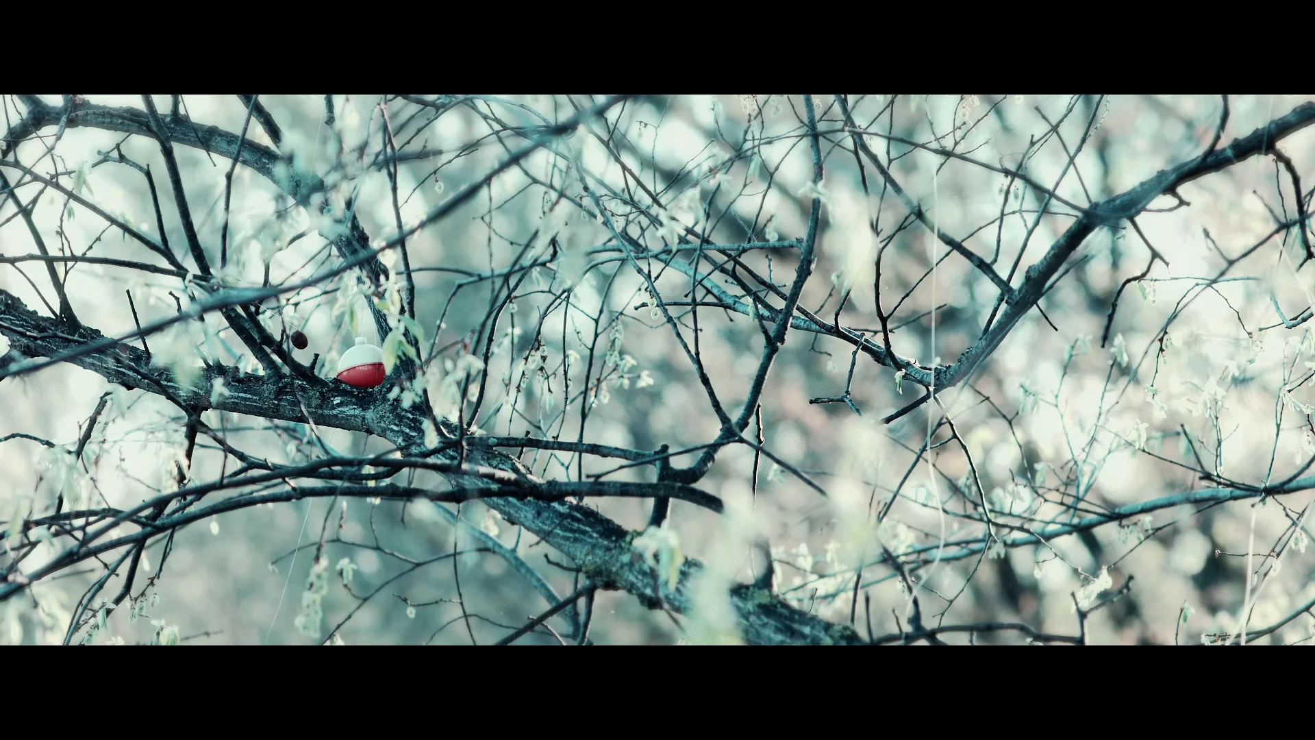 Spring Tides on Vimeo