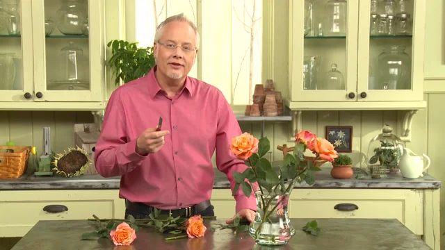 Should I use a knife or scissors to cut my flower stems? [Video]- Flowers  101 - uBloom