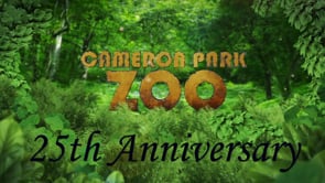 Cameron Park Zoo - 25th Anniversary