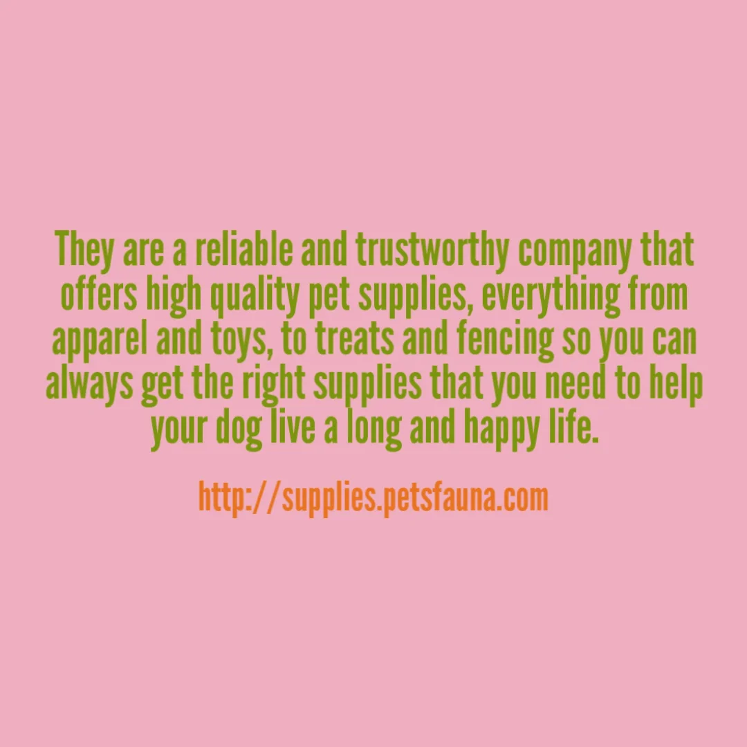 Online Discount Pet Supplies Best Places to Shop on Vimeo