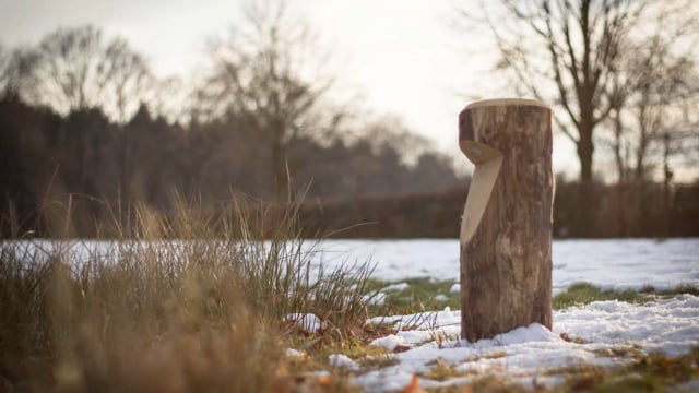 Timelapse Timberlab BOSCO