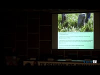 Rotaciones de cultivos forrajeros para la producción de leche