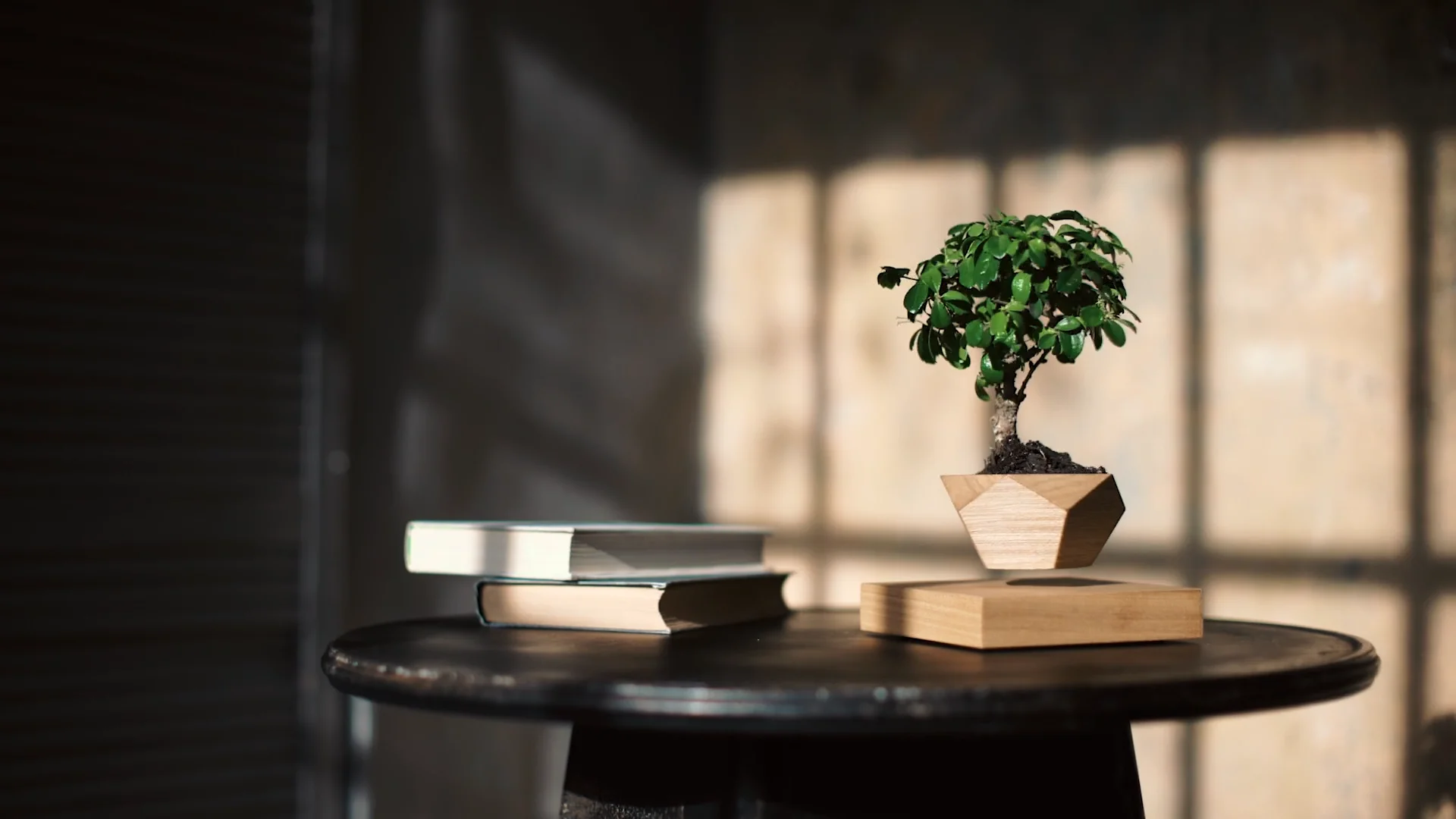 Левитирующее растение Leplant / Levitating planter Leplant on Vimeo