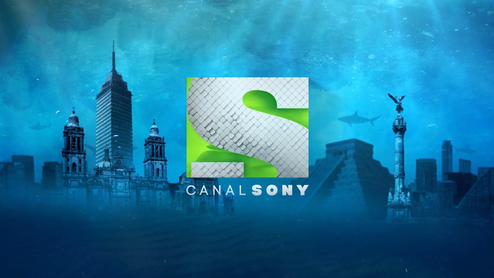 Shark Tank (Go Daddy) - CANAL SONY