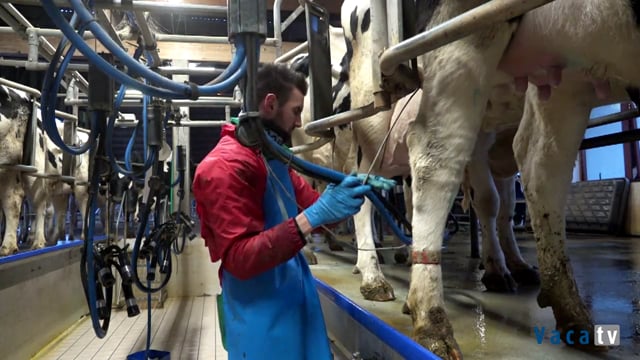 Manejo 'made in' Italia