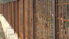 ICV entra una denúncia administrativa a l'Ajuntament de l'Escala pel mur de les Corts