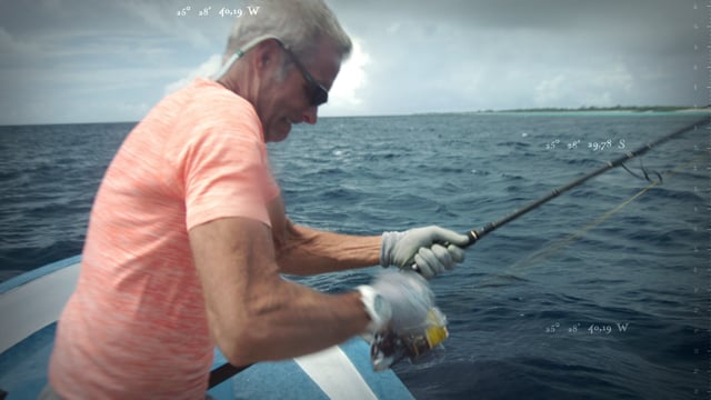 Fishing For Giants. Giant Barracuda