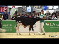 Xatas de 6 a 9 meses