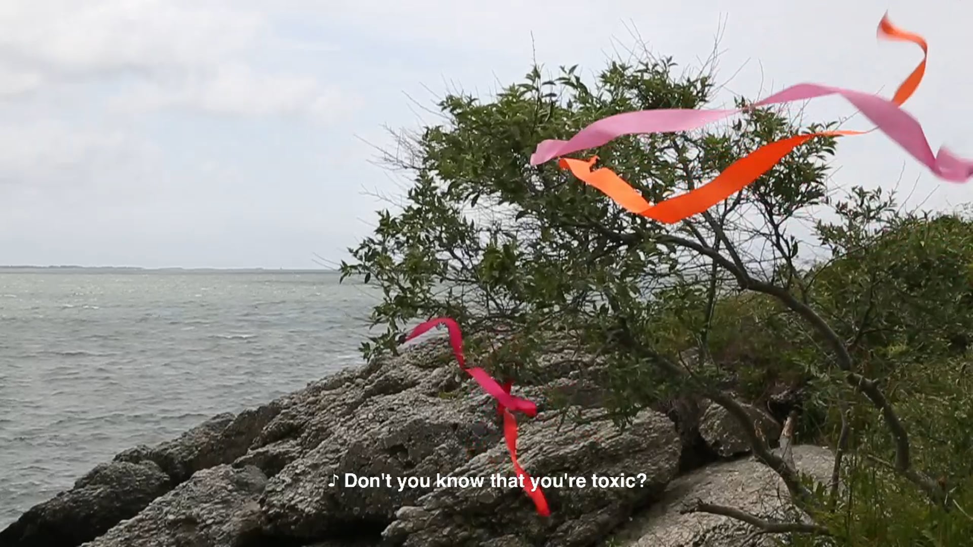 Pebble Beach Performance, 2018