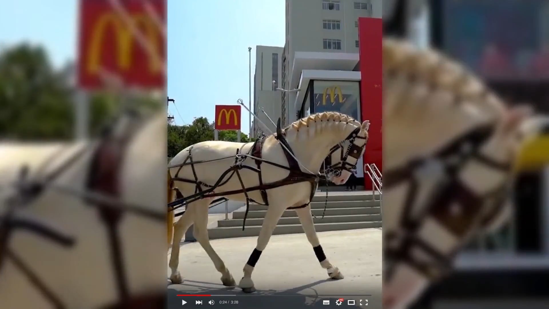 Dia Mundial Sem Carro no Drive