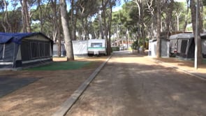 El Càmping Illa Mateua denuncia amenaces i atacs del CDR