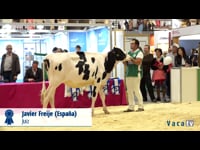 Xatas de 13 a 15 meses
