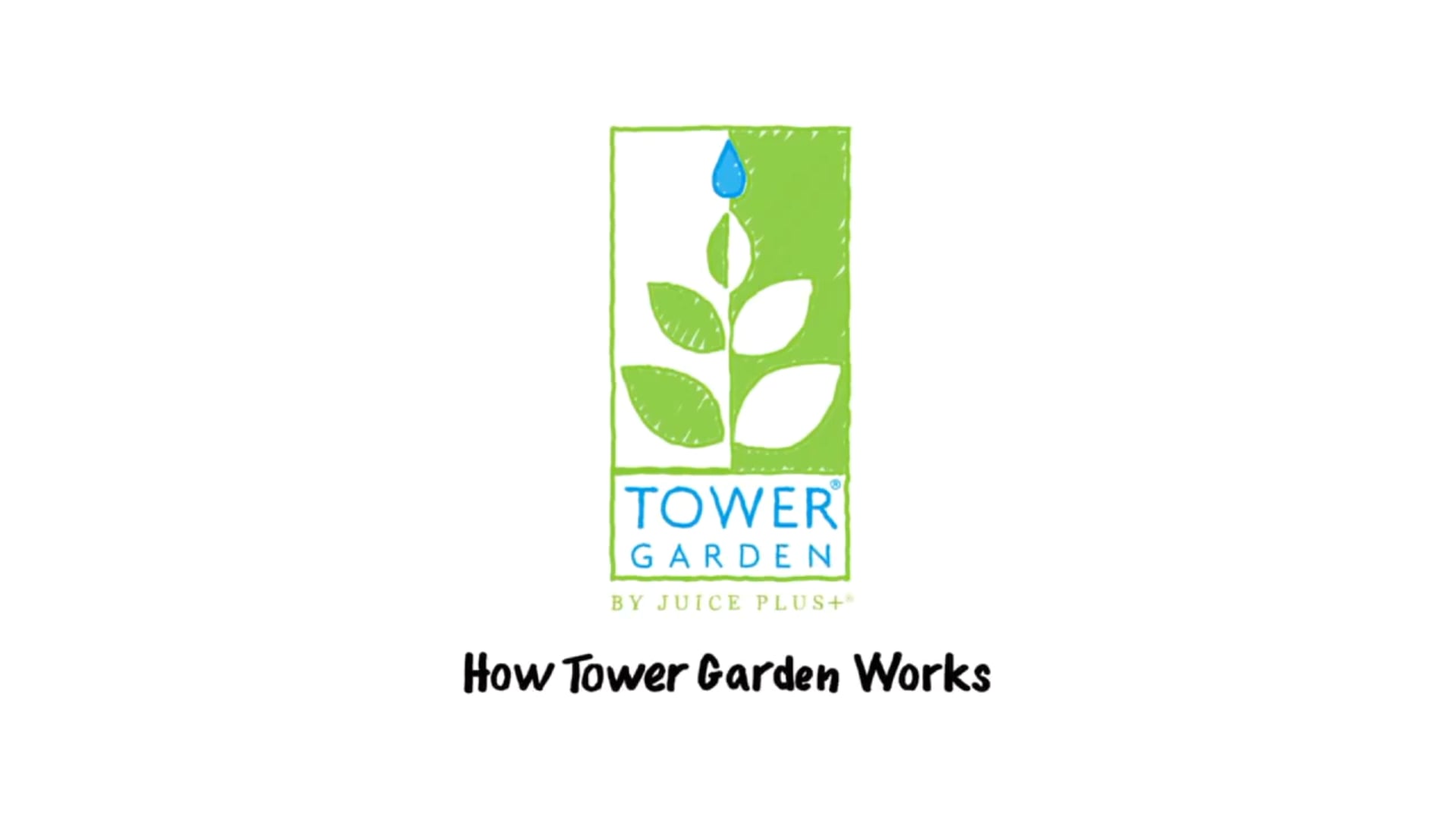 Tower Garden Montage