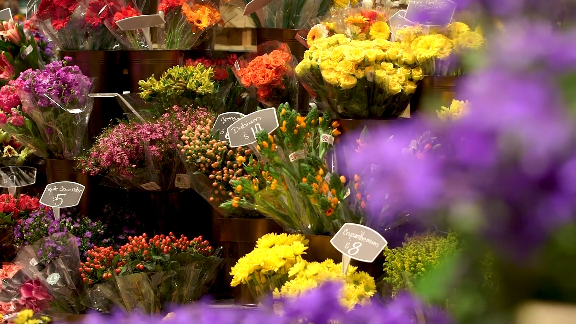 NPL_Flower and Garden Show Recap_2:30