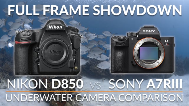 Nikon D850 vs Sony a7R III Underwater Camera Comparison - Full Frame Showdown