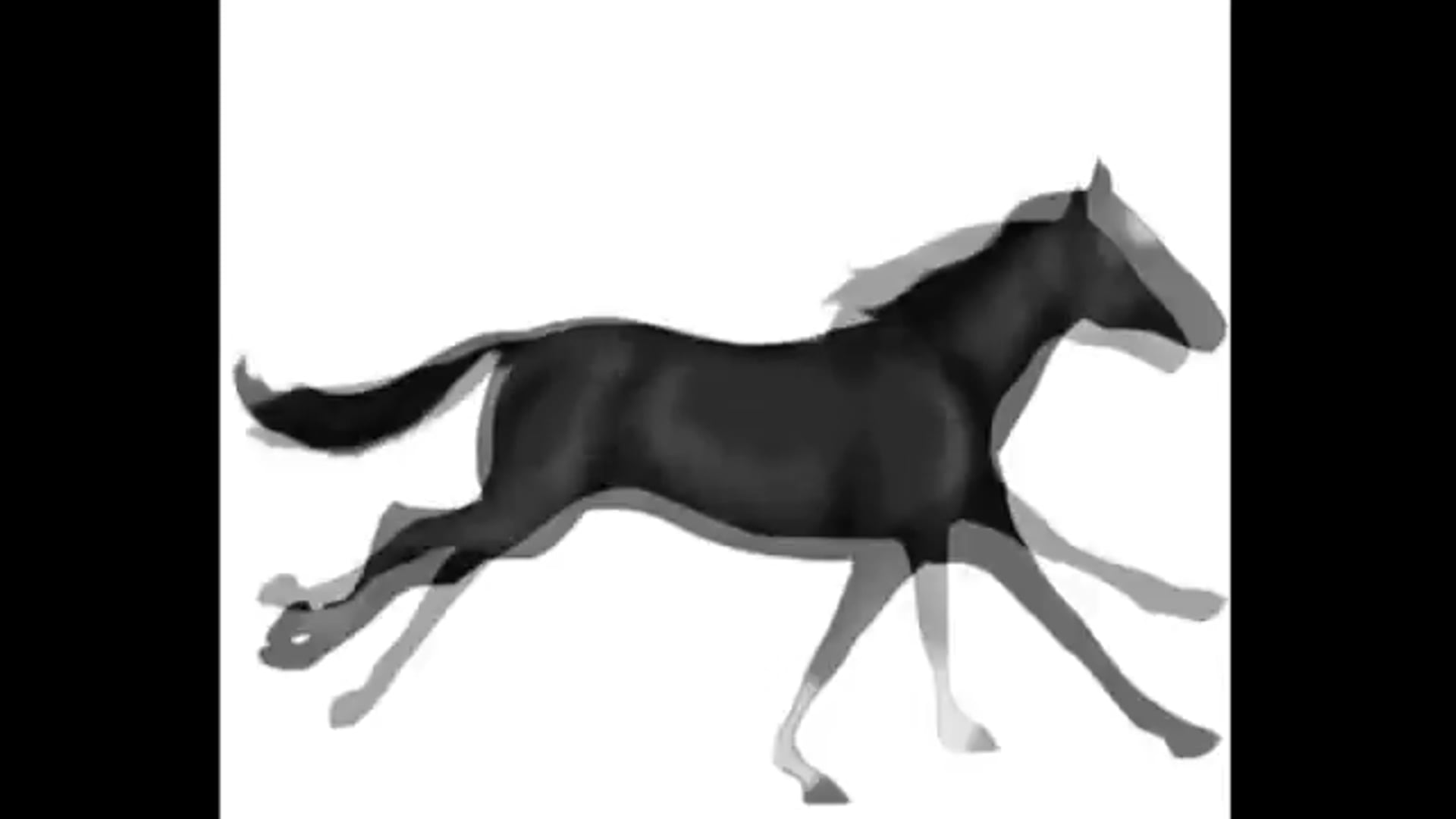 Animacion Caballo serra i abella