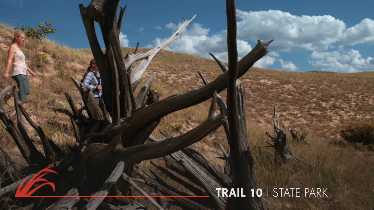 Indiana Dunes Tourism | Dunes 101 Hiking