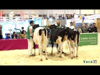 Mellor criador