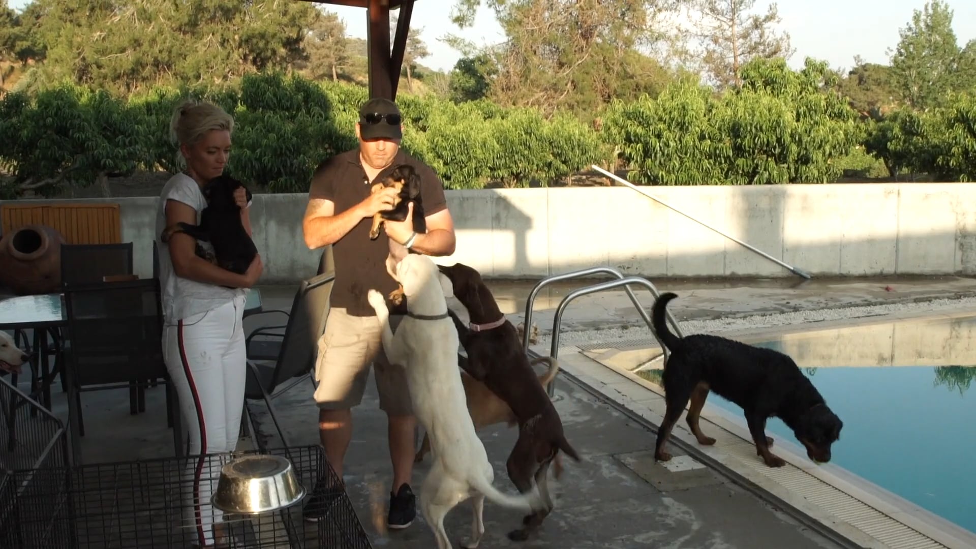 Rescue and Rehome Cyprus