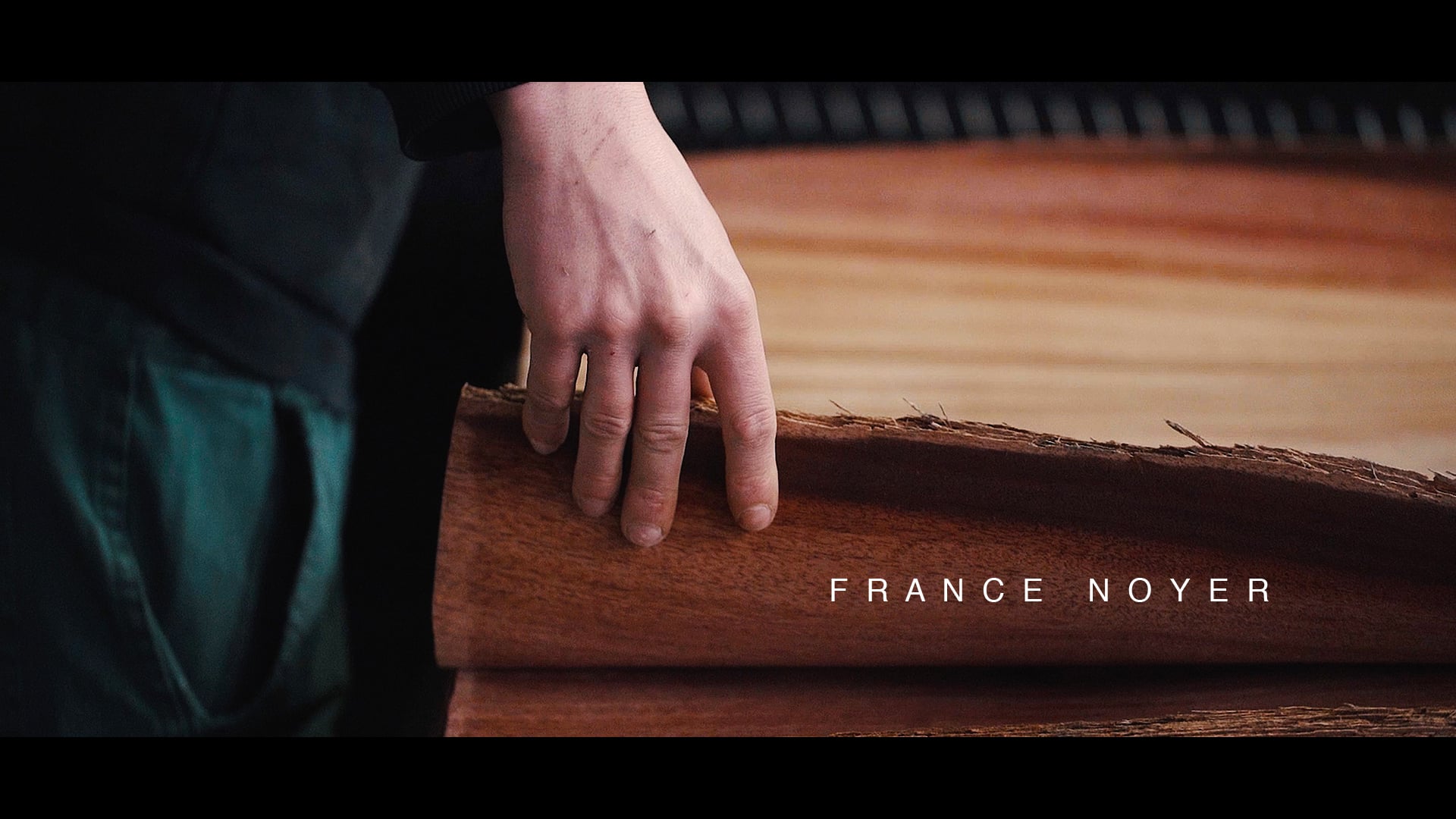 FRANCE NOYER - Présentation