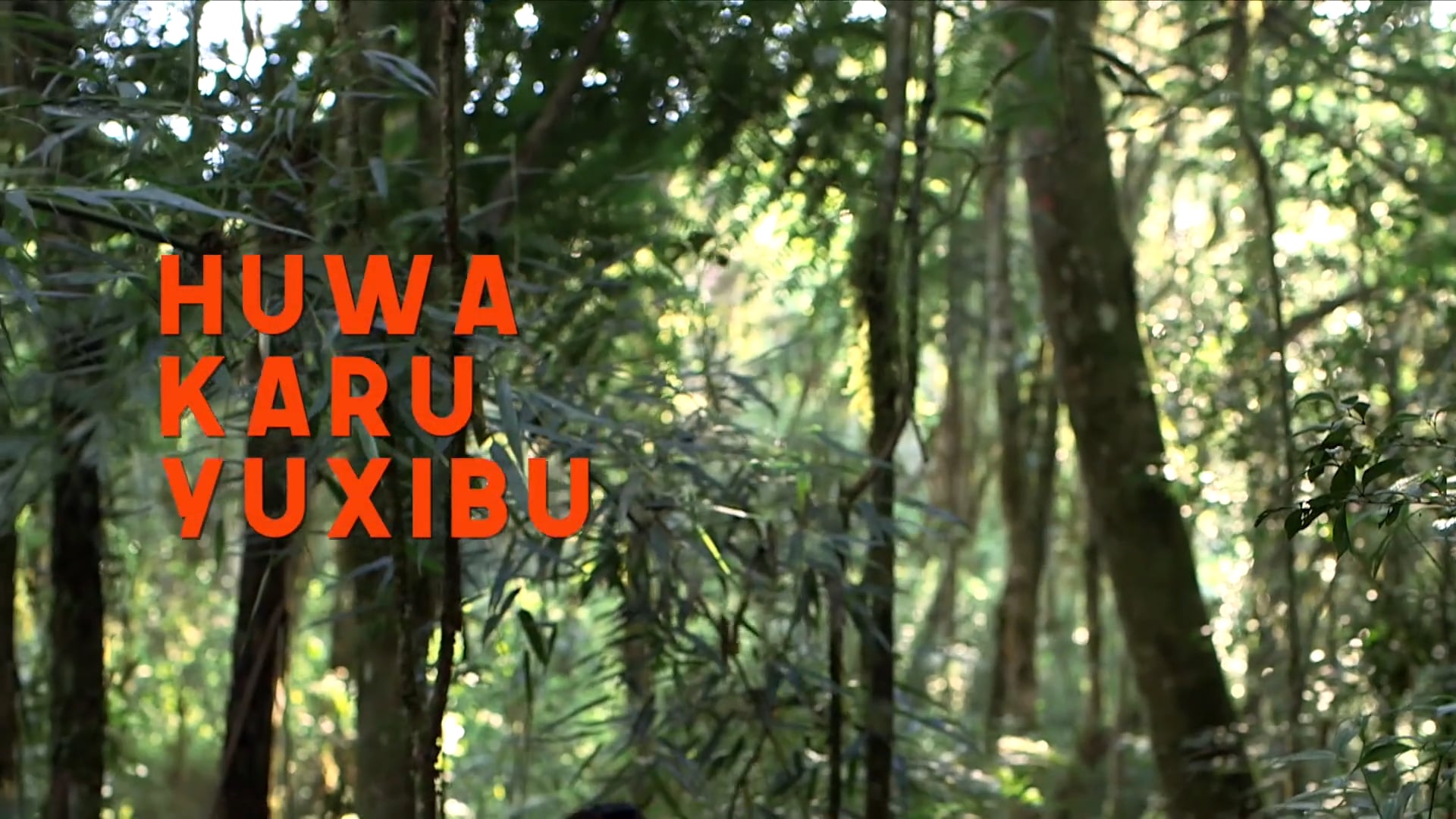 Huwa Karu Yuxibu