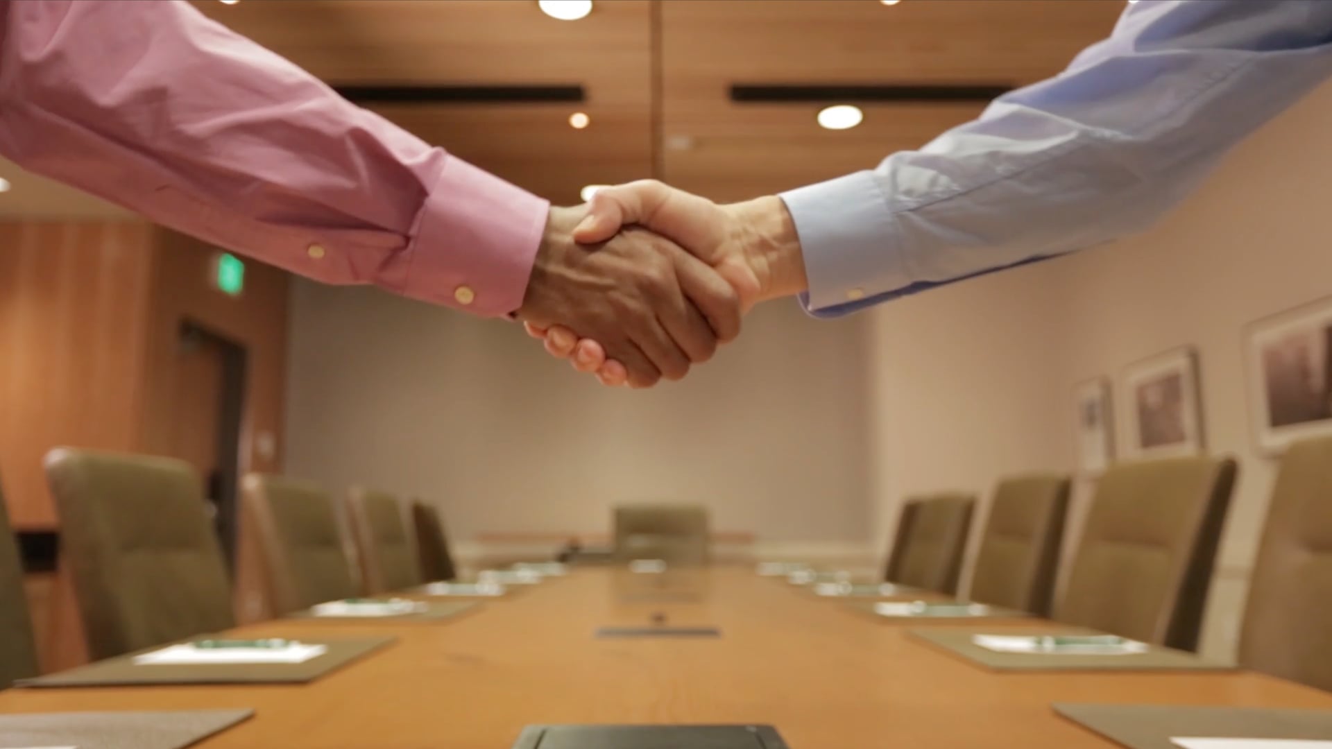 D&B Master Data Promo