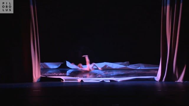 Pilobolus Waterslide Bows