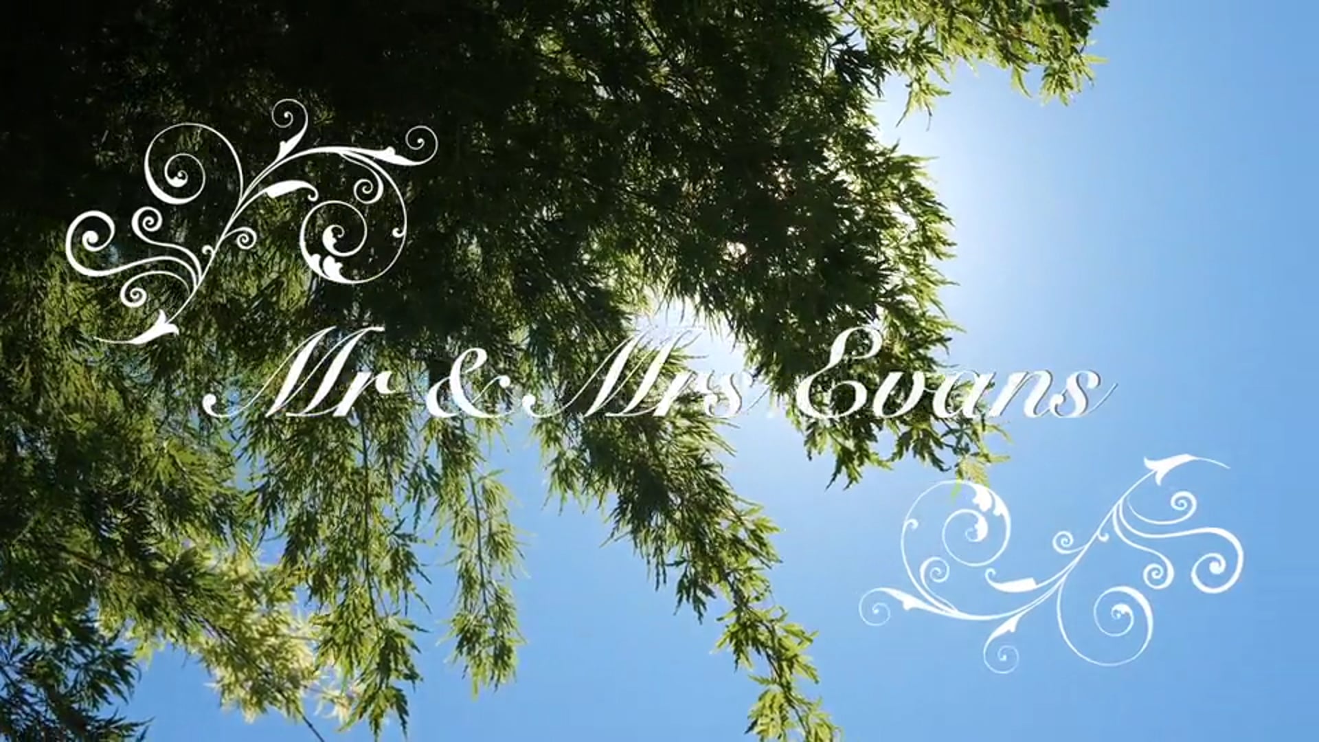 Promotional video thumbnail 2 for Lillian Suarez Weddings + Events