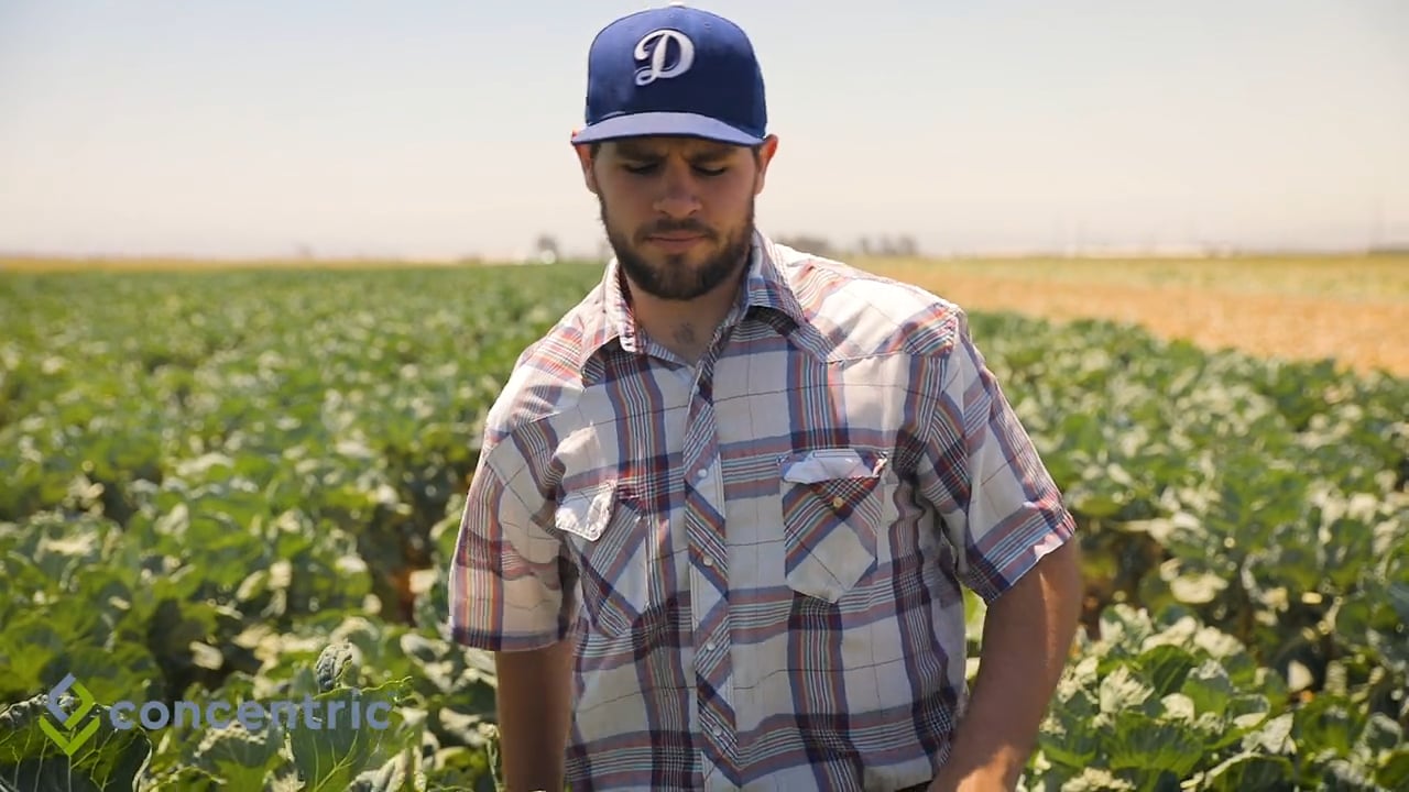 The Next Generation at San Ysidro Farms