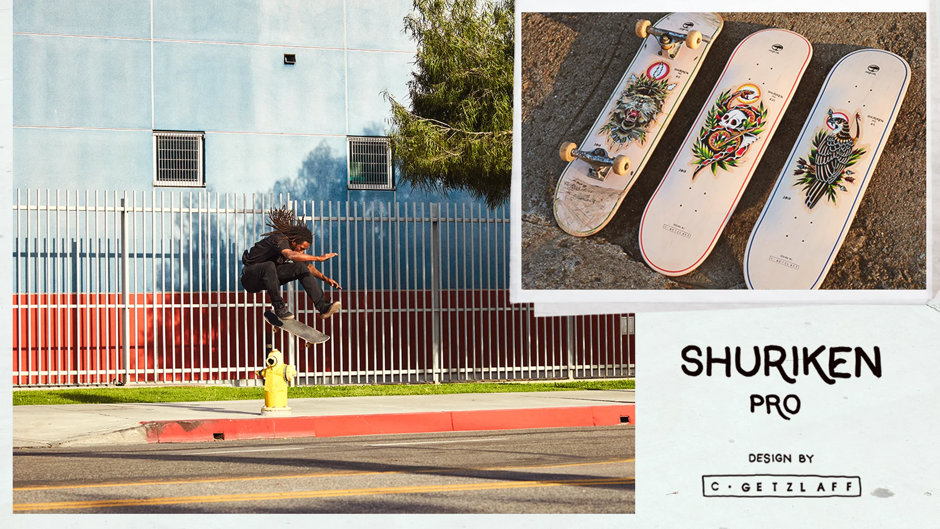 Arbor Skateboards :: Shuriken Shannon Pro Model