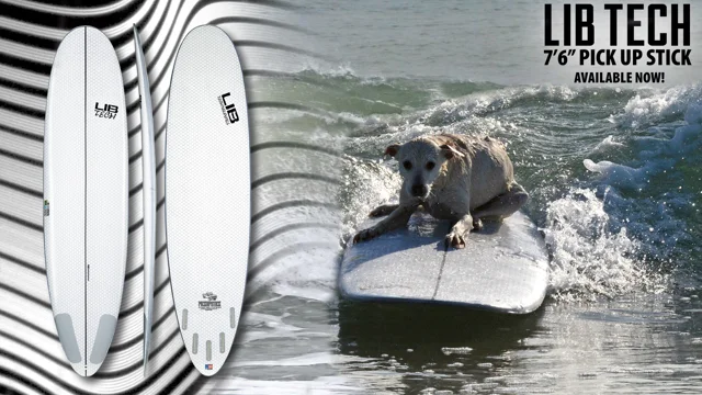 Sugar The Surfing Dog Rides the 7'6