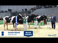 Mellor conxunto