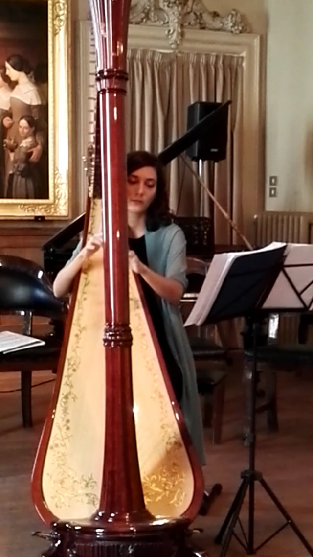 Arpa per cerimonie e aperitivi, feste aziendali video preview