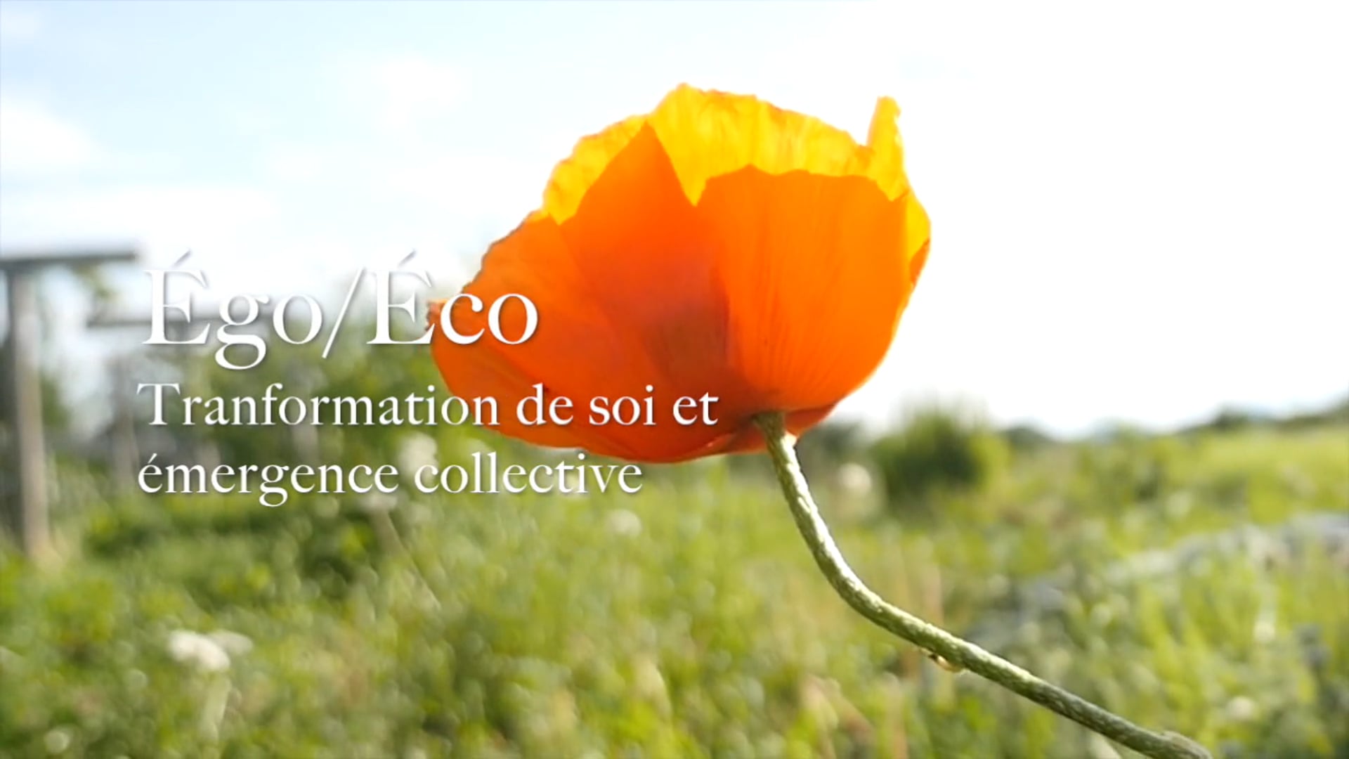 Toutes les vidéos