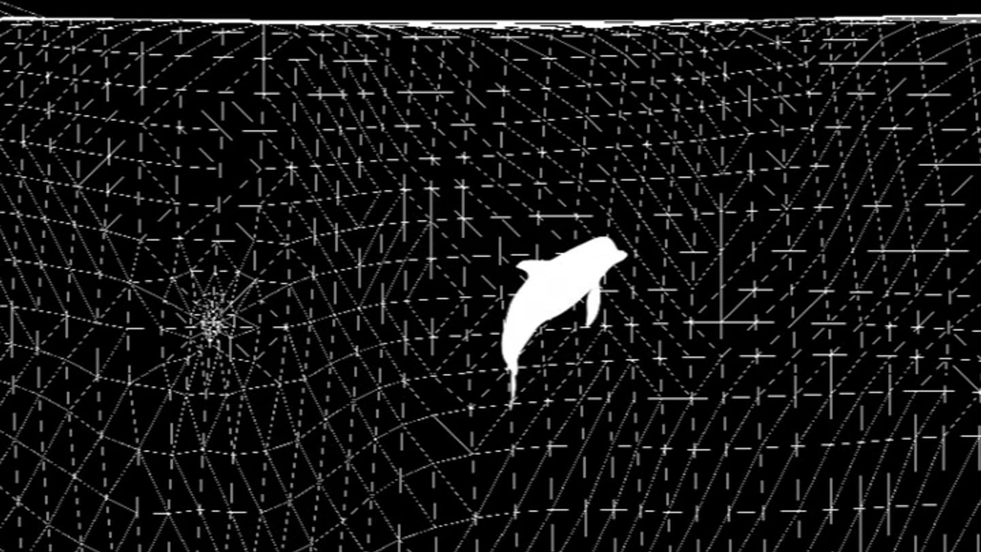 Coca Cola Delfin - Final animation Breakdown