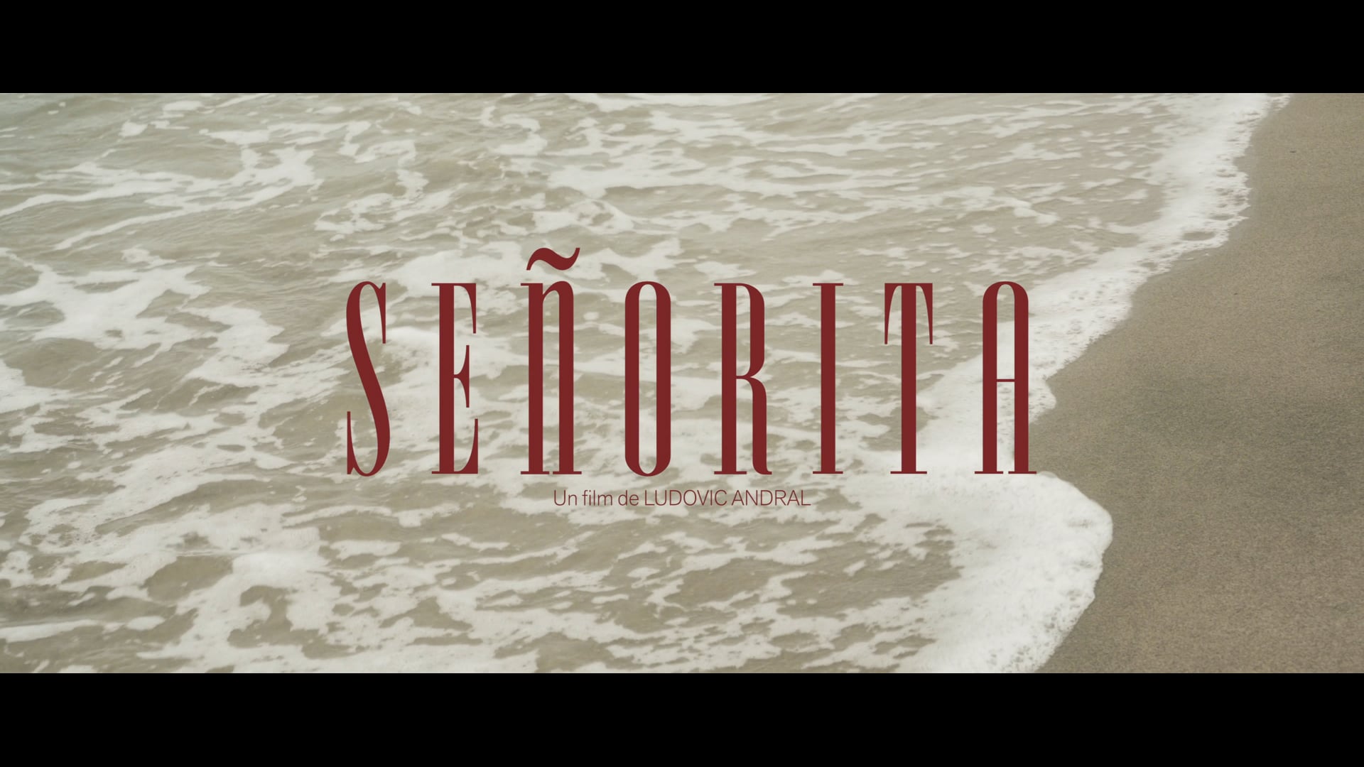 YAN'S - Senorita