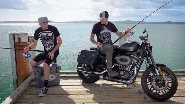 Harley TVC 15