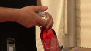 Arrels del vi 2018