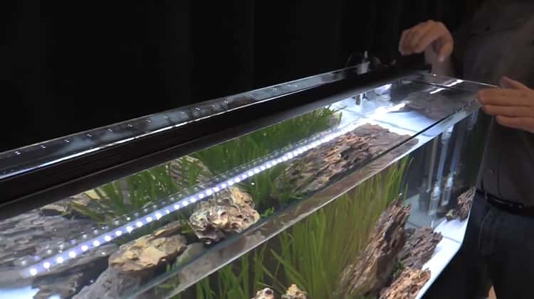 Long Low-Iron Rimless Aquarium - 12 Gallon