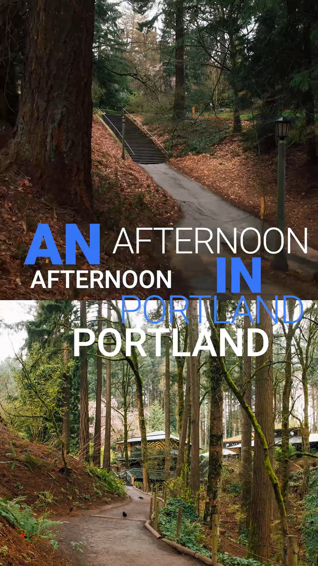 afternoon in Portland on Vimeo