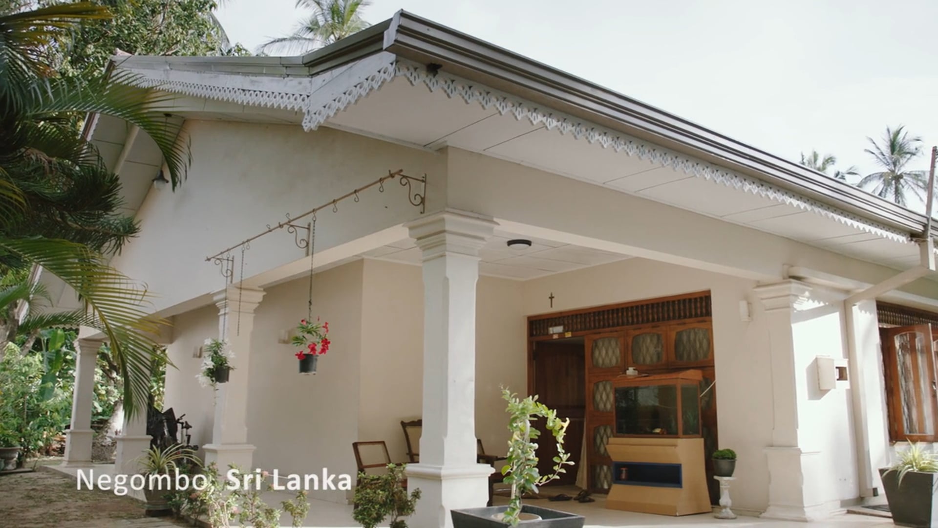 Dengue Fever Impact Story: Sri Lanka