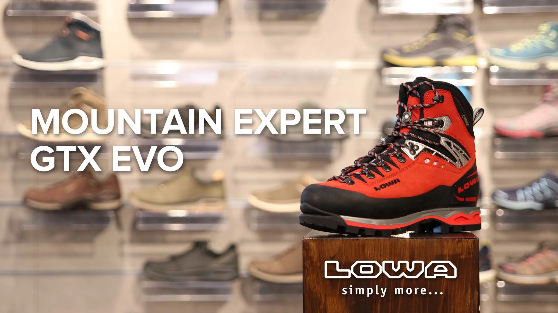 Mountain 2024 expert gtx