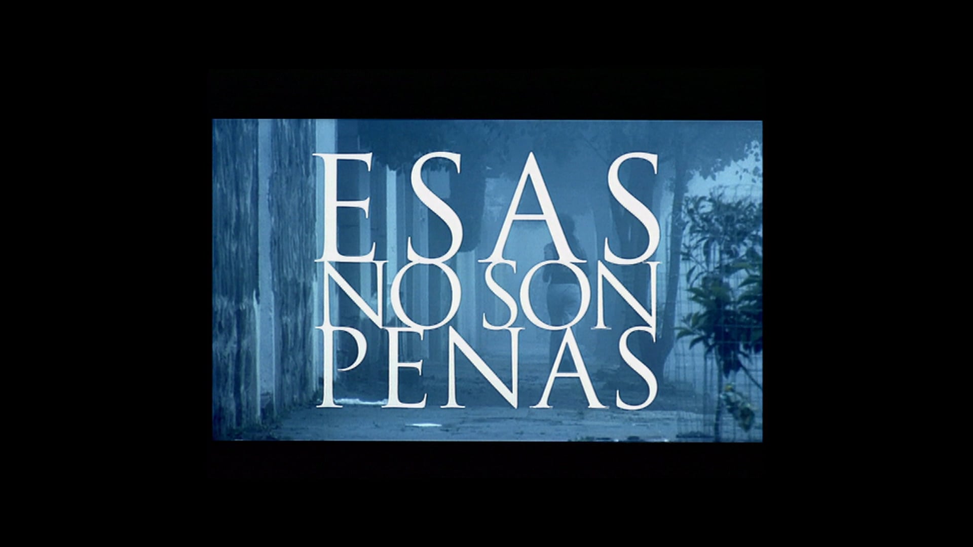 ESAS NO SON PENAS
