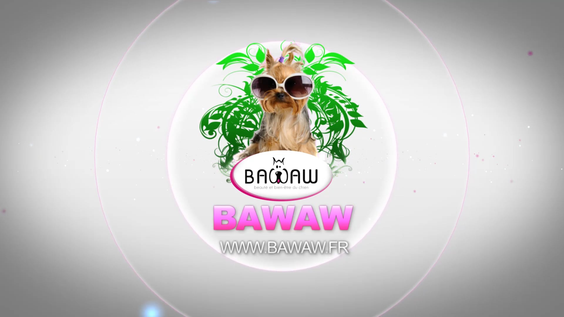 bawaw_2018