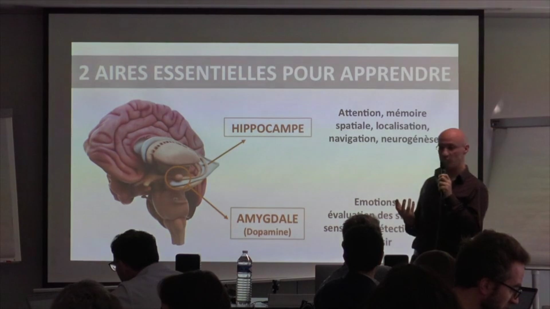 Thierry Curiale, Neurosciences & apprentissage