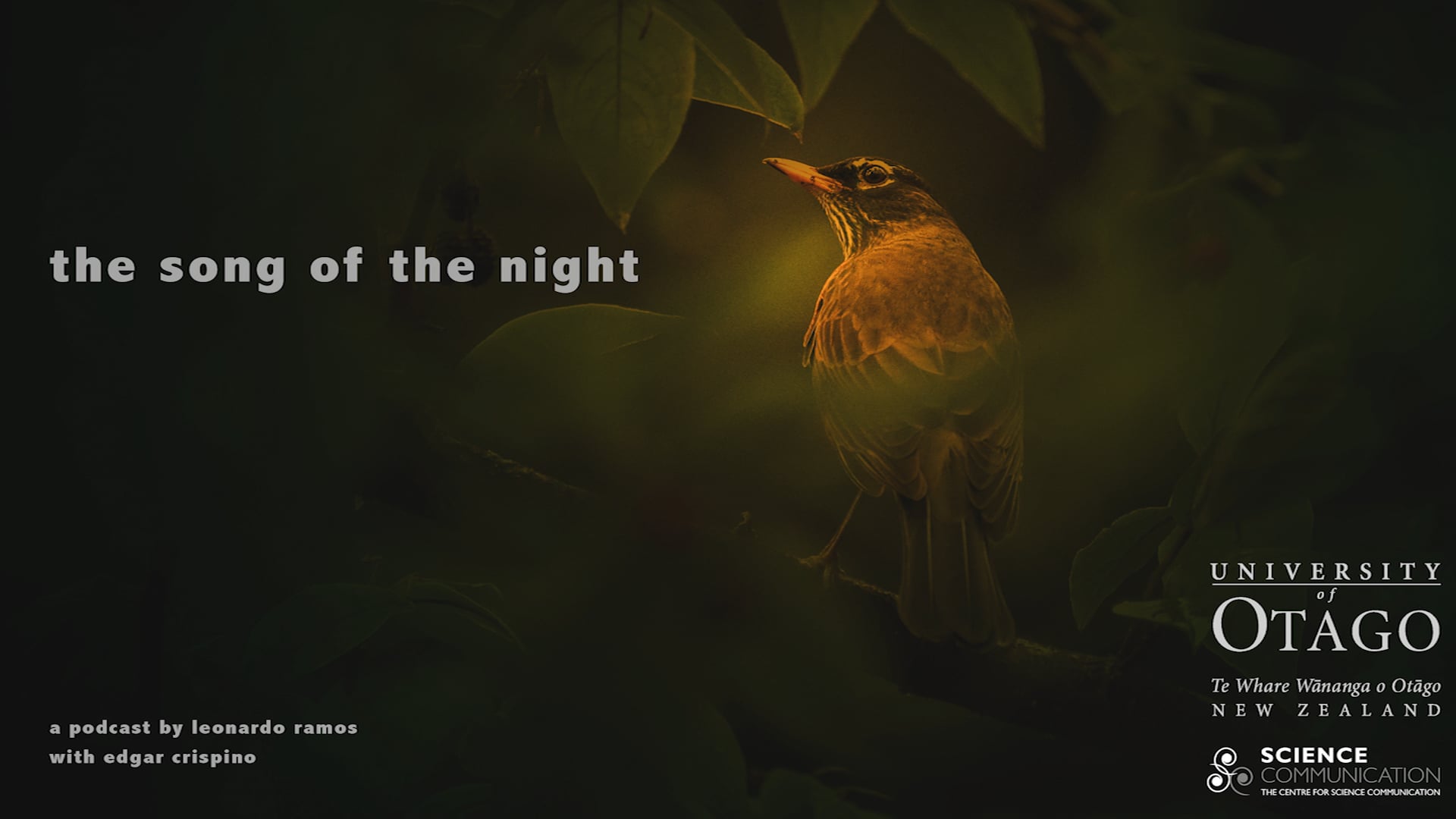 The Song Of The Night | A Podcast By Leonardo Ramos feat. Edgar Crispino
