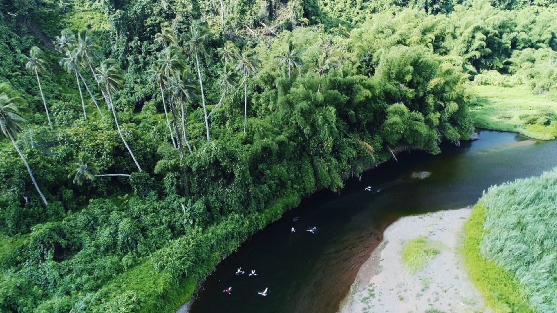Jean Michel Cousteau Fiji Jungle River Tubing