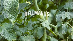 Hellmanns_Ketchup_UK_20sec_Titled