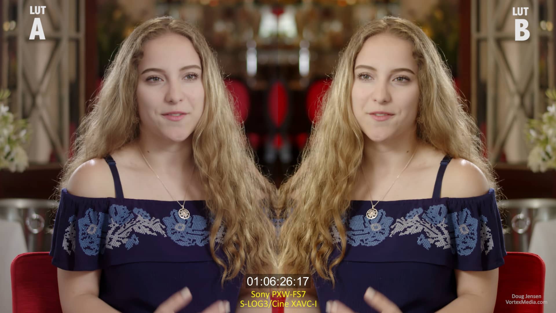 Split Screen Venicelike LUT vs. LC709TypeA LUT Comparison on Vimeo